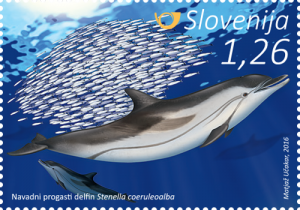 delfinikiti-uv-navadnidelfin-znamka